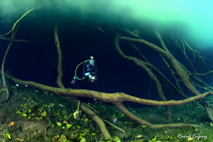Diving under a cloud by Raoul Caprez 